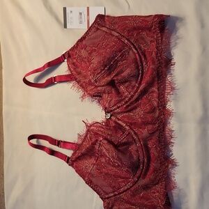 36 C Sofia Intimates by Sofia Vergara minimizer underwire bra New With Tags